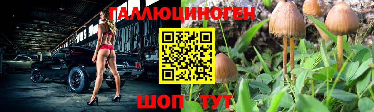 хочу наркоту  Вход с VPN  Псилоцибиновые грибы Psilocybine cubensis  Корсаков  Галлюциногенные грибы мухоморы 